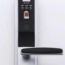 Tsina Smart RFID keypad door lock na may fingerprint DH8921 Manufacturer
