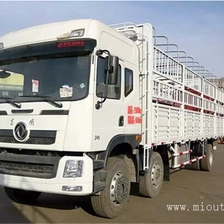 China Dongfeng 6X2 245hp 9.6M Fence Cargo Truck For Sale fabricante