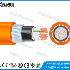 Chine AS / NZS PVC Control Cable 0.6/1KV fabricant