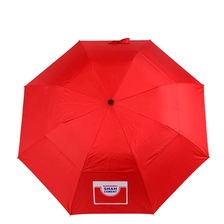 China 2 Falten Baldachin Silberbeschichtung Sunproof Full Auto Open Umbrella Hersteller