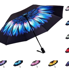 China Bei jedem Wetter im Freien geöffneter und geschlossener Regenregenschirm Hersteller