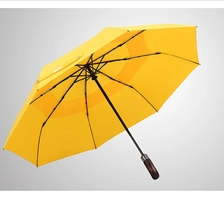Chine BSCI Shaoxing Fournisseur Parapluie Pliable Grande Taille Windproof 3 Parapluie Pliant fabricant