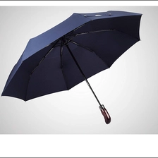 Chine Parapluie double canopée double pli avec logo imprimé fabricant