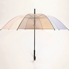 China New Fashion Transparent POE Colorful Bubble Dome Straight Umbrella with J Handle manufacturer
