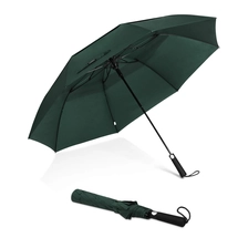 China Wholesale Auto Open Strong Windproof Wind Resistant 2 Fold Vented Umbrella manufacturer