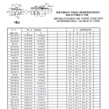 China 1BJ tube fittings Hersteller