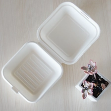 Китай 6 * 6-дюймовый производитель одноразовой упаковки для пищевых продуктов на вынос производителя