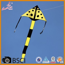 China Outdoor delta flying kite from Chinese professional kite factory manufacturer