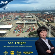 Cina spedizioniere marittimo più economico dagli Stati Uniti alle Filippine Spedizionatore di merci
