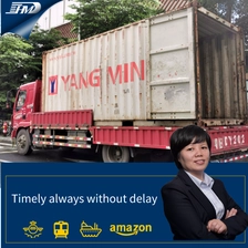 China Internationaler Spediteur Eisenbahnschifffahrt von Tür zu Tür Deutschland Frachtwächterin