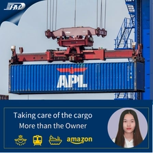 China Drop Shipping Companies Sea Freight Shipping From In China To Memphis  DDP DDU Freight Forwarder