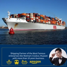 Cina Agente di spedizione marittima di Shenzhen Freight dalla Cina alle Filippine Spedizionatore di merci