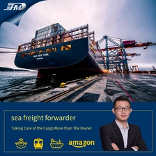 Cina Tariffe di spedizione marittima DDU DDP trasporto marittimo da Shanghai Cina a Miami USA  Spedizionatore di merci