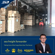 Cina Servizio di spedizioni marittime internazionali DDP DDU trasporto marittimo economico da Shanghai Cina a Chicago USA  Spedizionatore di merci