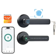 Çin Elektrikli Kolu Kilidi Tuya Akıllı Ev Kapı Kilidi Biyometrik Parmak İzi Kilidi Cerradura Inteligente Con Huella Digital üretici firma