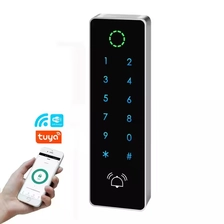 China Fabrikpreis Wasserdichtes Tuya Smart Mobile APP WIFI Türzugangskontrollsystem Hersteller