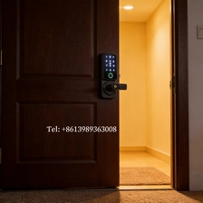China Fechadura de porta com impressão digital WiFi de segurança americana para casas inteligentes fabricante
