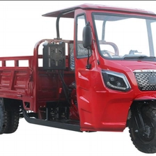 China LY-Kane-010 Motorized/Electric tricycles manufacturer