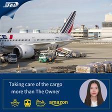 China despachante profissional de frete aéreo de Shenzhen para Toronto, Canadá, frete aéreo da China para o Canadá, serviços de remessa de caixa de presente mascaramento de serviços de navio Frete Forwarder