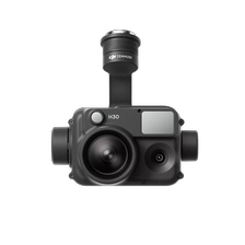 porcelana DJI Zenmuse H30 fabricante