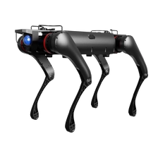 Cina Robot quadrupede medio YQ-D30 produttore