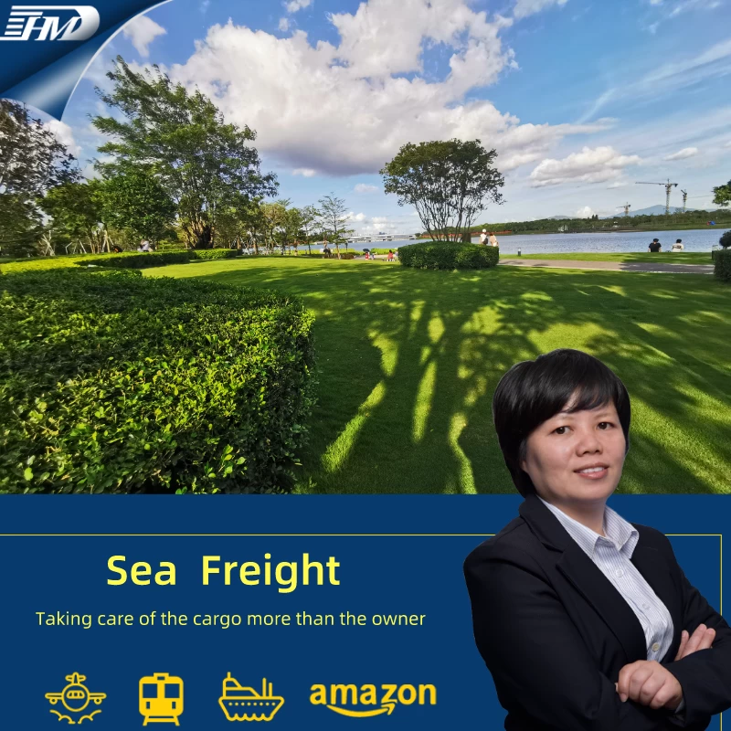freight company sea freight shipping rates in guangzhou china to USA