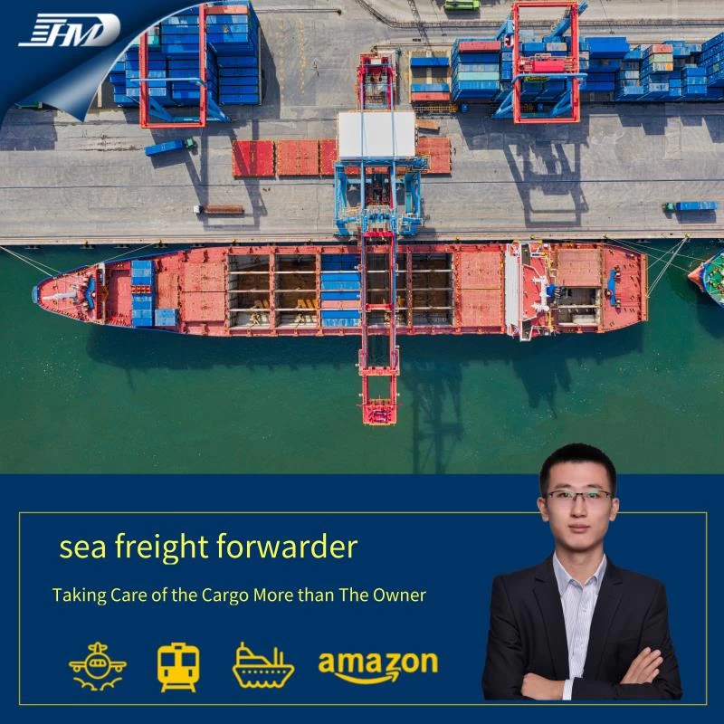Ocean freight forwarder from Shenzhen China to Le Havre France Door to door customs clearance service 