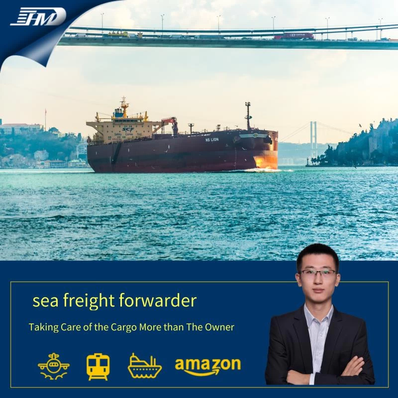 Sea shipping forwarder from China to Abu Dhabi Dubai ocean freight from Shenzhen Shanghai Ningbo 