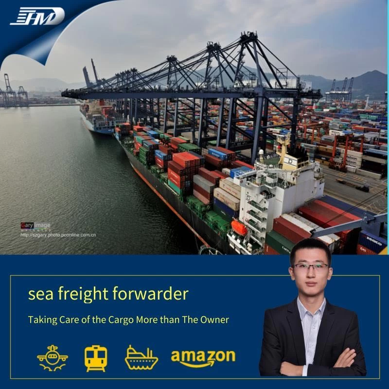 Shipping consolidation Ocean freight shipping forwarder from China to Frankfurt Germany door to door service