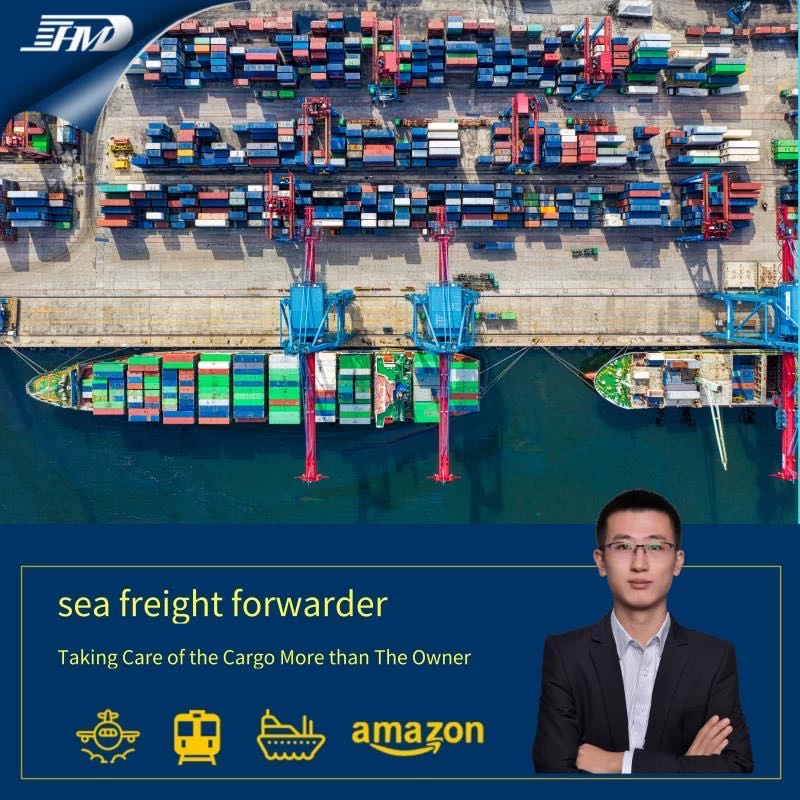 Sea shipping forwarder from China to Abu Dhabi Dubai ocean freight from Shenzhen Shanghai Ningbo 