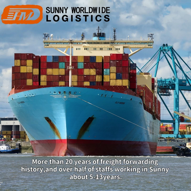 Amazon FBA Freight assignee sea shipping forwarder from Shenzhen China to Atlanta USA