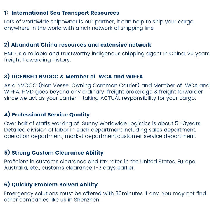 Sea Freight China to Europe DDU DDP Forwarding Agent