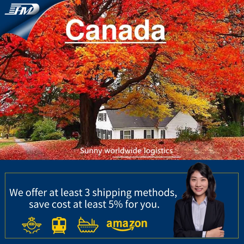 Reliable sea freight from China to Canada with customs clearance door to door service 