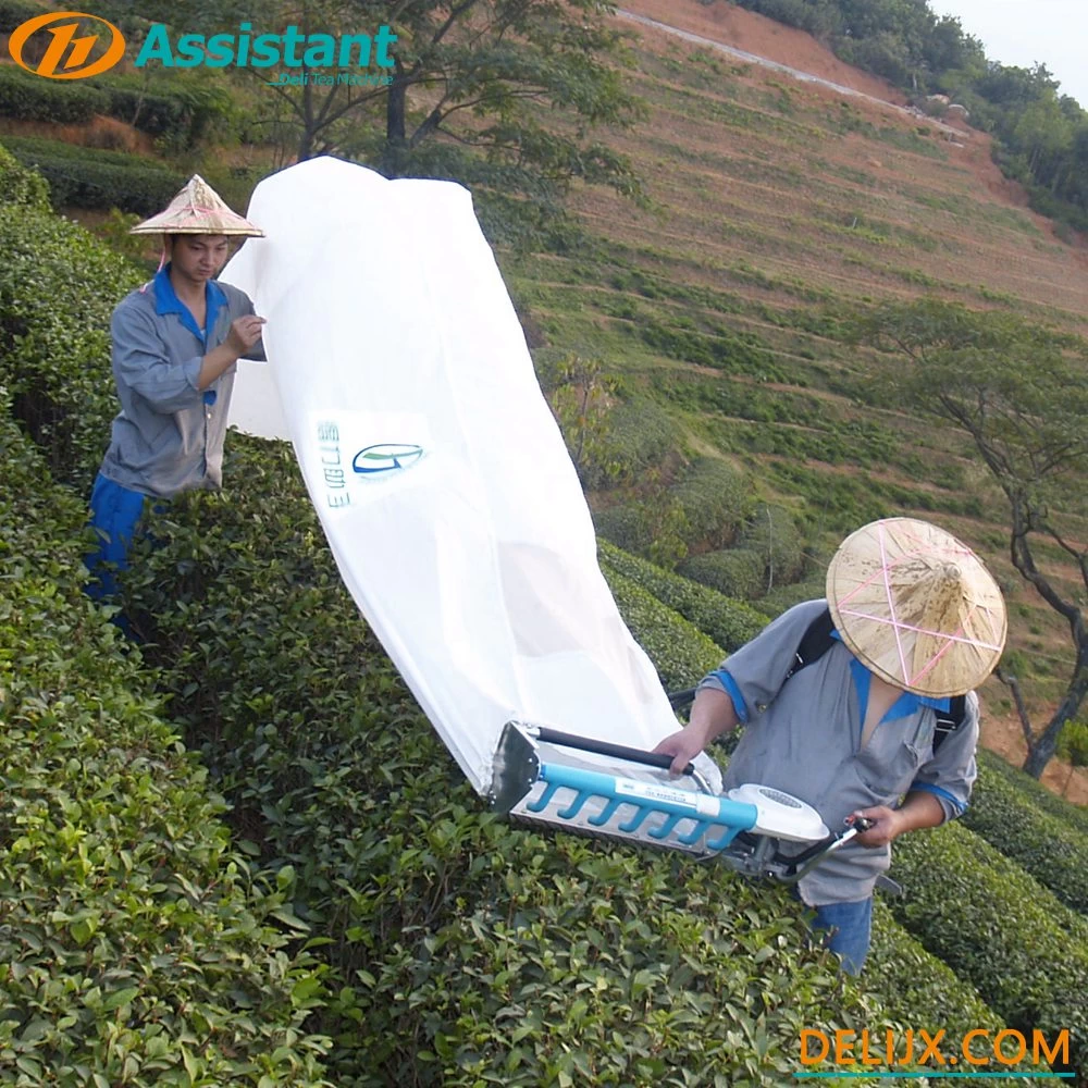 Chine Machine à cueillir les feuilles de thé de type sac à dos avec le moteur DL-4C-T de MITSUBISHI TU26 fabricant