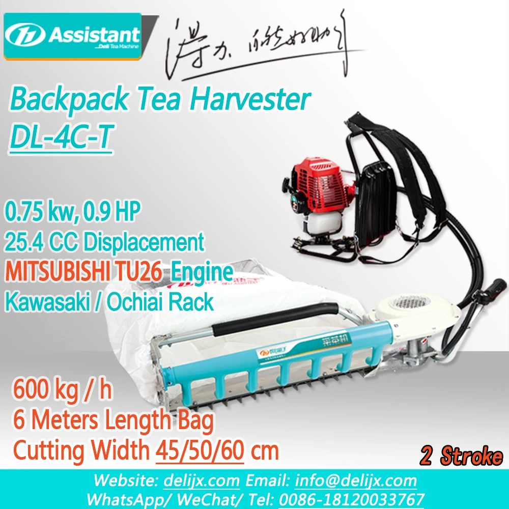 China Backpack Type Tea Leaf Plucking Machine With MITSUBISHI TU26 Engine DL-4C-T manufacturer