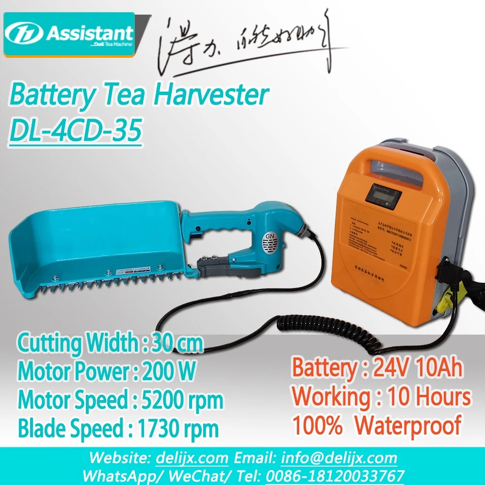 24V 10Ah Lithium Battery Operated Brushless Mini Tea Harvester DL-4CD-35