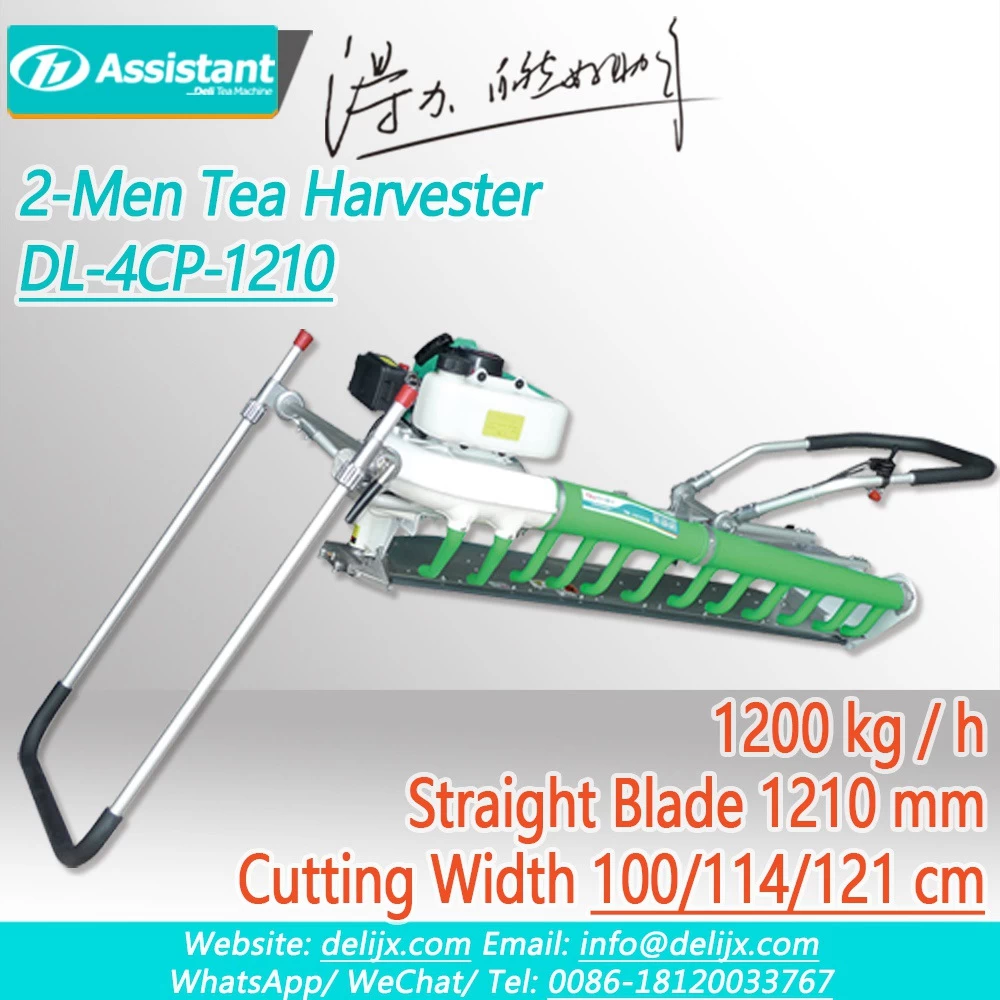 Çin 2-Erkek Kullanılmış Düz Bıçak 2 Zamanlı Çay Yaprağı Biçerdöver Makinesi DL-4CP-1210 üretici firma