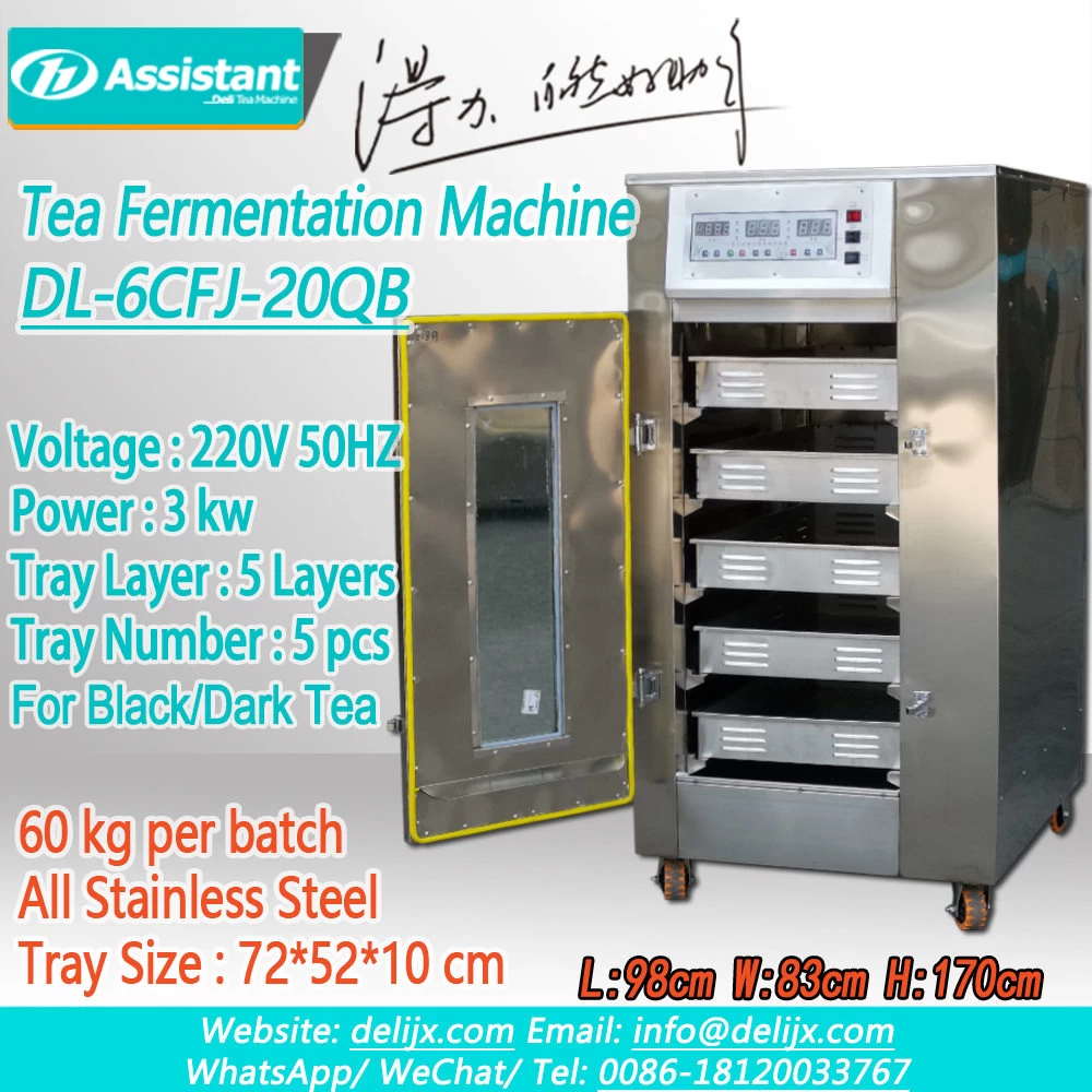 Máquina de fermentación de té negro de acero inoxidable con 5 bandejas DL-6CFJ-20QB