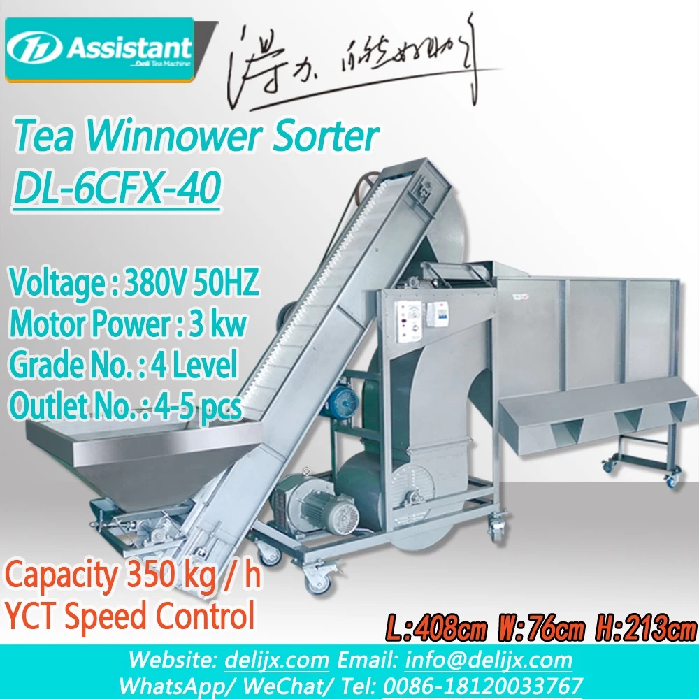 China Continuous Type 4 Outlet Tea Leaf Winnowing Sorting Machine DL-6CFX-40 manufacturer