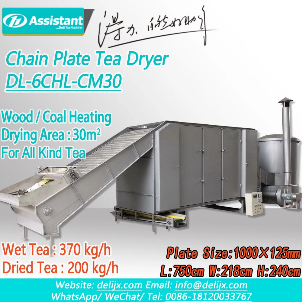 Machine de séchage continue de thé de plat de chaîne de chauffage de bois/charbon DL-6CHL-CM30