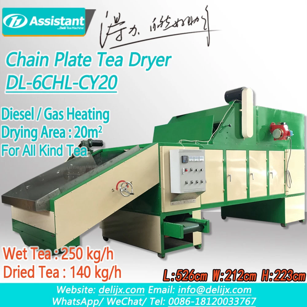 Máquina de secado de té con placa de cadena continua de calentamiento diésel DL-6CHL-CY20