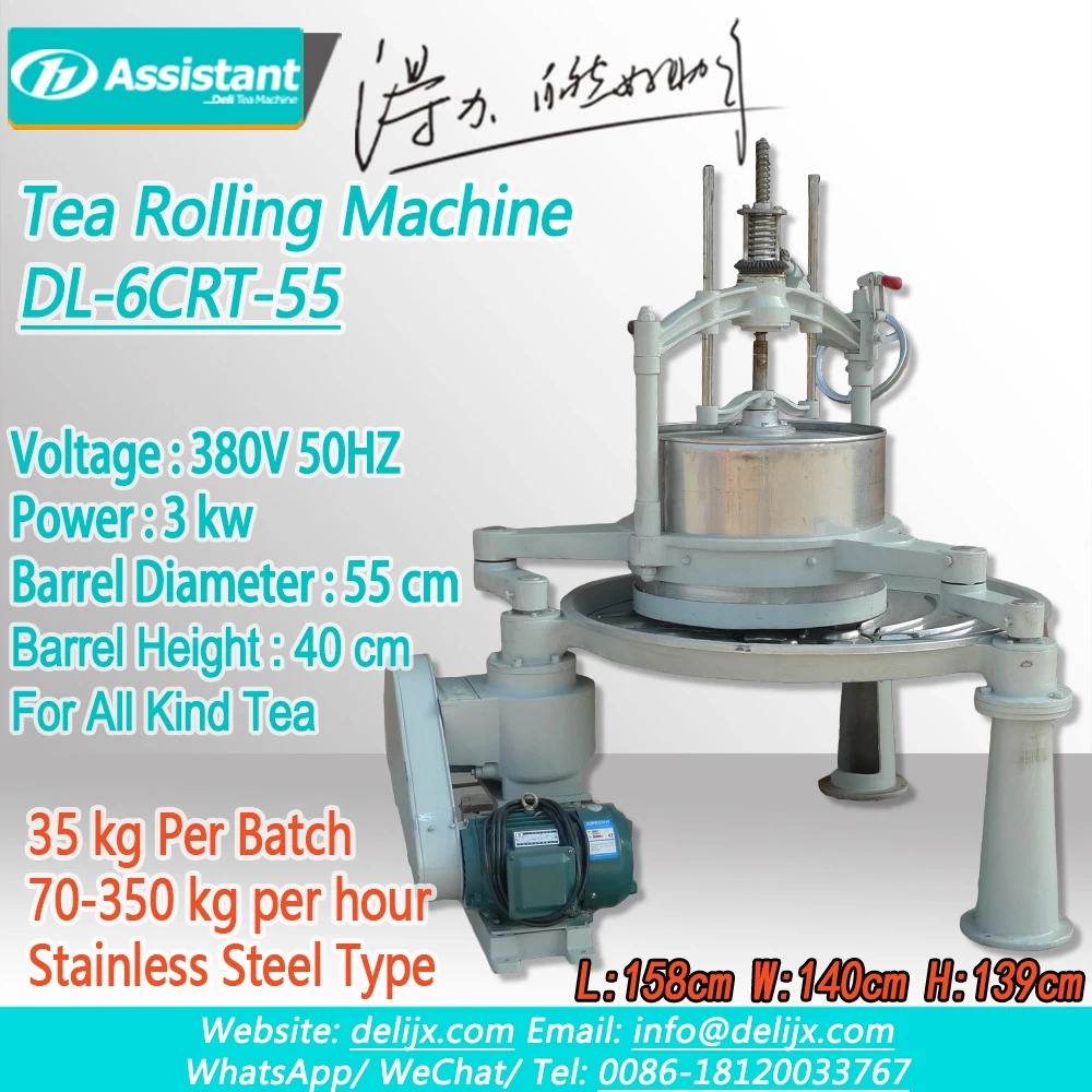 Machine à rouleau à thé à double bras de grand type 55cm avec table en acier inoxydable DL-6CRT-55