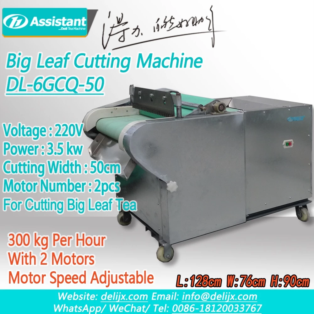 China Big Leaf Cutting Machine With 2 Adjustable Speed Motors DL-6GCQ-50 manufacturer