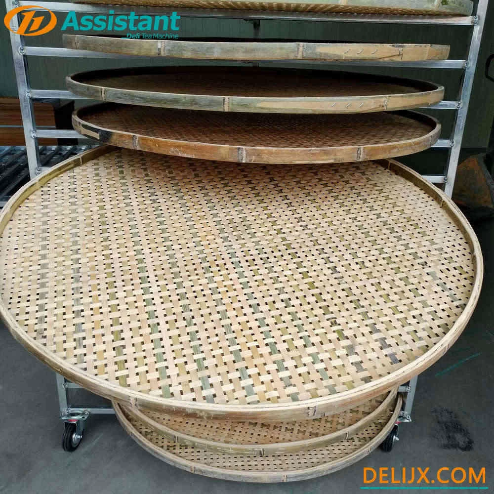 Chine 
Avec 20pcs Palettes De Bambou Thé Naturel Wither Rack DL-TQJ-20 fabricant