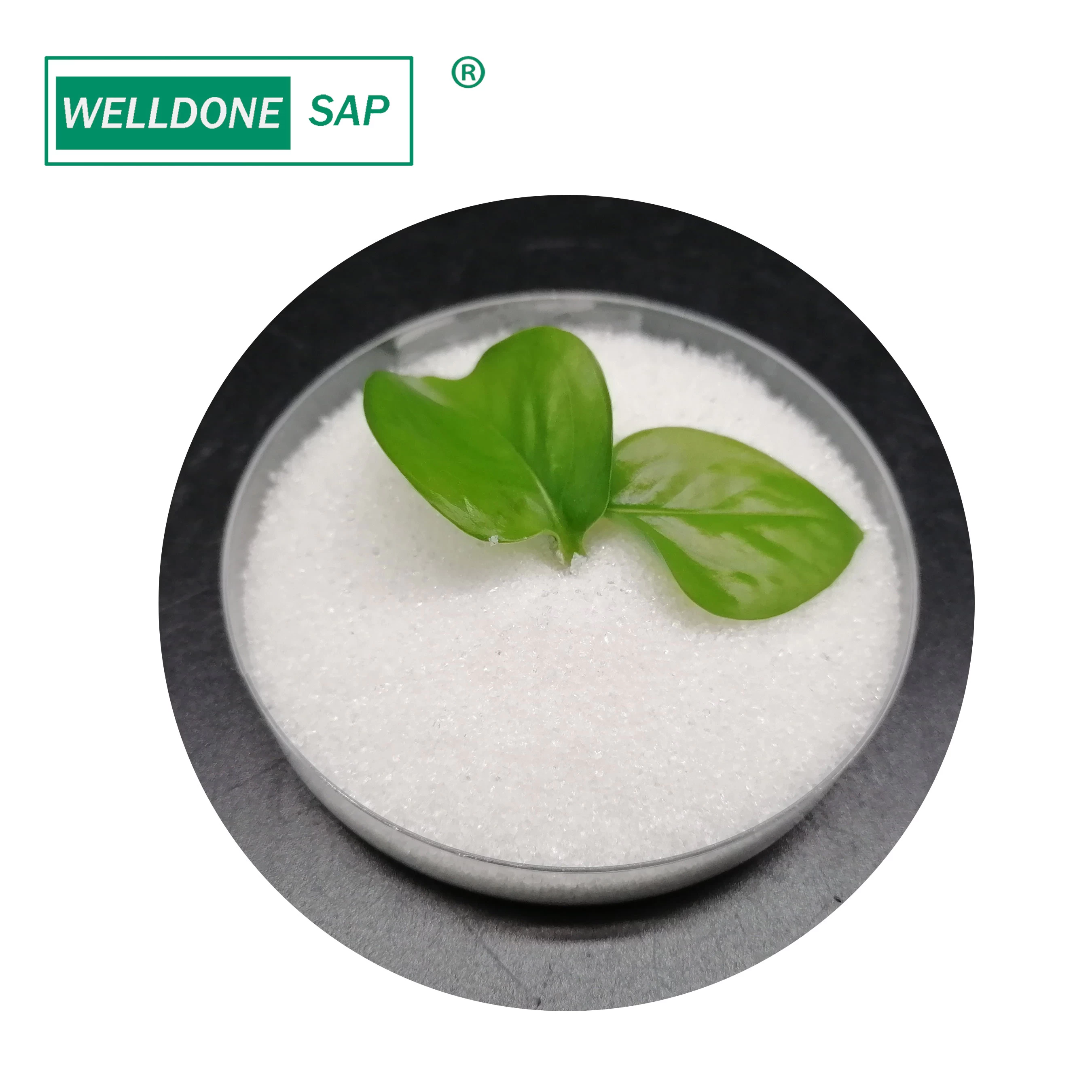 Agricoltura grado potassio poliacrilato per il rivestimento di semi SAP