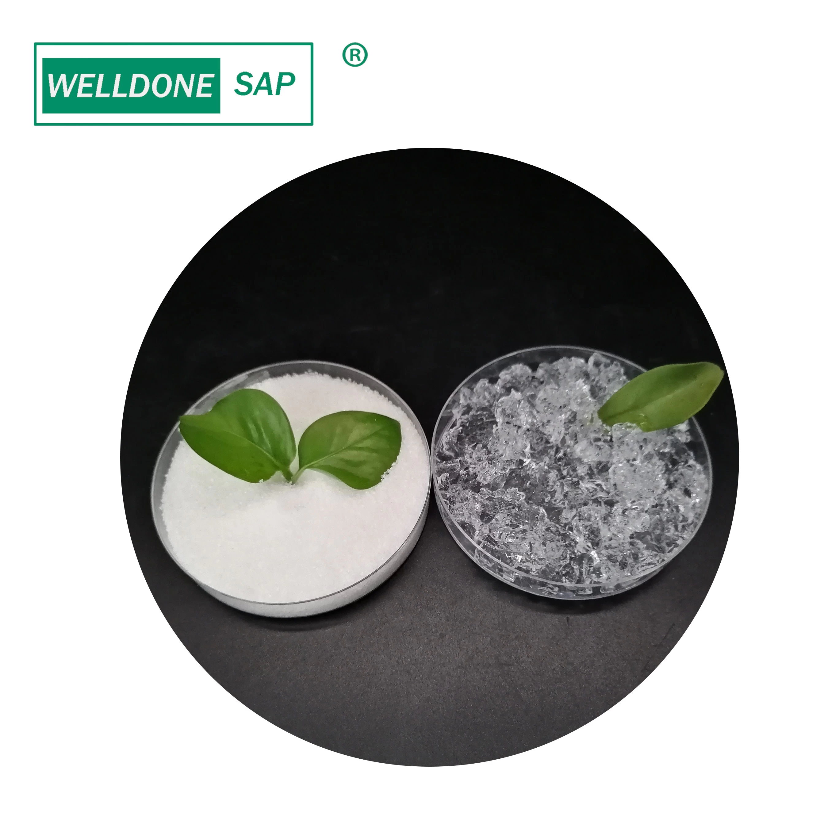 SAP para semillas de aguacate