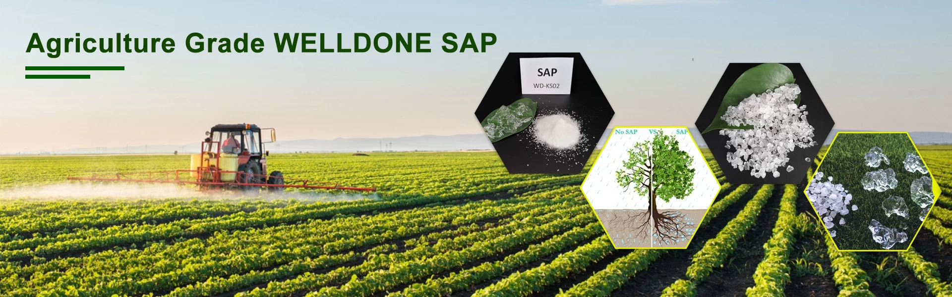 Pro-SAP as Super Absorbent Polymer for Agriculture