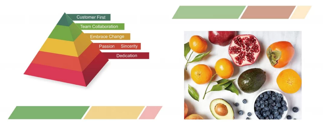 Porcellana Polyacrilato di potassio polimerico super assorbente del  produttore per suolo