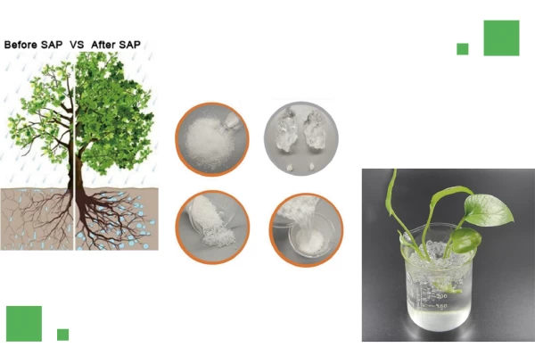 Hydrogel polimero superassorbente SAP poliacrilato di sodio per