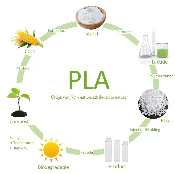 What is PLA plastic?